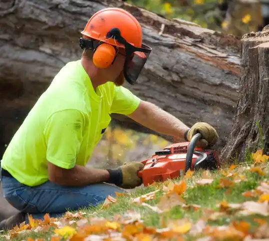 tree services Menominee